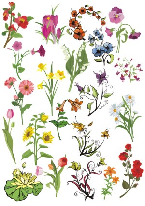 Collection of Various Colorful Floral and Botanical Vector Illustrations Free Vector