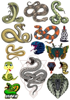 Collection of Various Snake and Viper Illustrations and Logos Free Vector