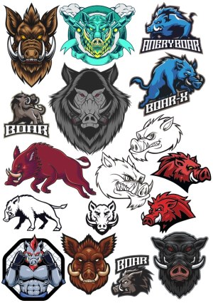 Collection of Fierce Boar and Wild Hog Mascot Logos and Illustrations Free Vector