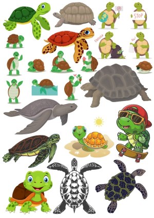 Variety of Turtle and Tortoise Cartoon Vector Illustrations Free Vector