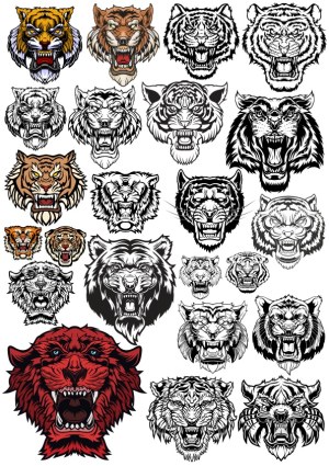 Set of Roaring Tiger Head Vector Illustrations Free Vector