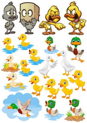 Collection of Cartoon Duck and Duckling Vector Characters Free Vector