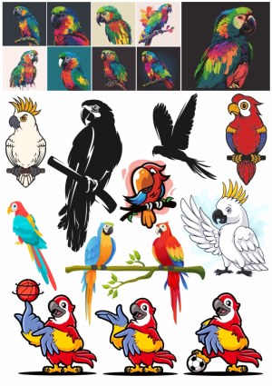 Colorful Parrot and Cockatoo Vector Illustrations Collection Free Vector