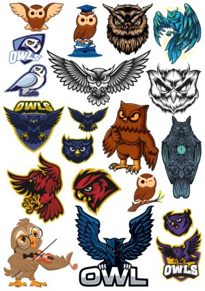 Collection of Stylized Owl Mascots and Logos Free Vector