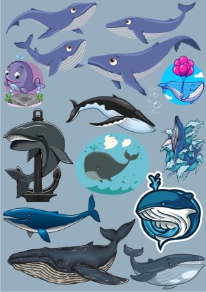Collection of Whale Vector Illustrations and Stickers Free Vector