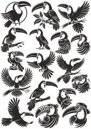 Black and White Toucan Bird Vector Set Free Vector
