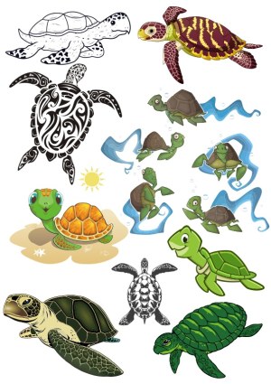 Collection of Various Turtle and Tortoise Illustrations Free Vector