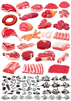 Variety of Raw and Cooked Meat Cuts Vector Collection Free Vector