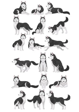 Set of Siberian Husky Dogs in Various Poses Vector Free Vector