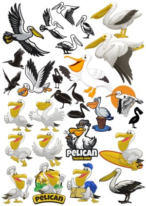Diverse Pelican Vector Illustrations and Cartoons Free Vector