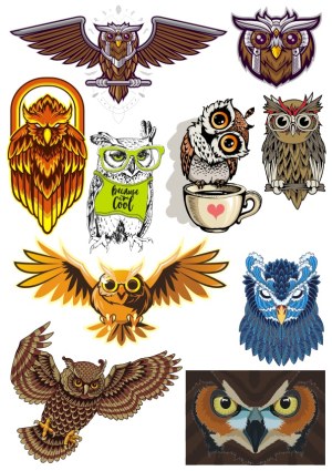 Set of Stylized Owl Vector Illustrations Free Vector