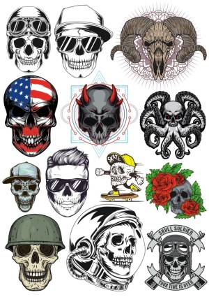 Collection of Detailed Skull and Skeleton Vector Illustrations Free Vector