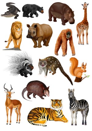 Realistic Vector Illustrations of Various Wild Animals Free Vector