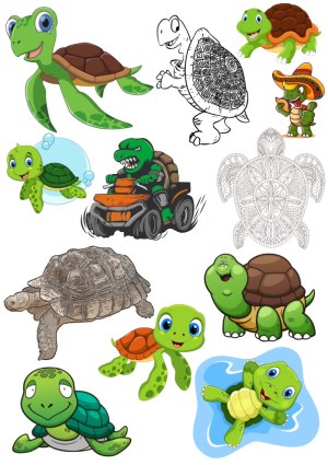 Collection of Cute and Cartoon Turtle and Tortoise Vector Illustrations Free Vector