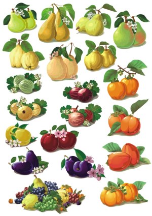 Collection of Colorful Fruit and Berry Vector Illustrations with Flowers and Leaves Free Vector