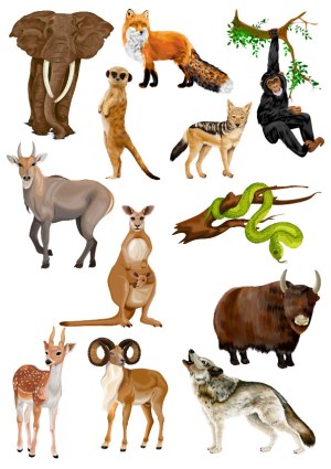 Realistic Vector Illustrations of Various Wild Animals Free Vector