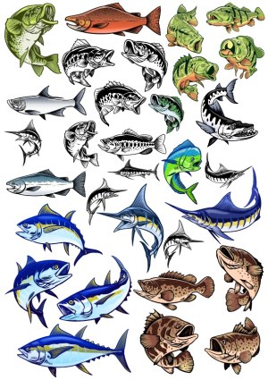 Collection of Colorful and Monochrome Fish Vector Illustrations Free Vector