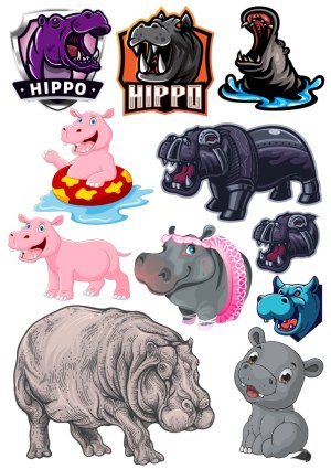 Hippo Vector Collection with Diverse Styles and Expressions Free Vector