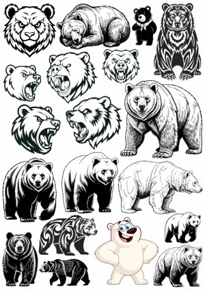 Collection of Various Bear Illustrations and Cartoon Bear Free Vector