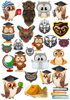 Collection of Cute and Detailed Owl Vector Illustrations with Graduation and Education Themes Free Vector