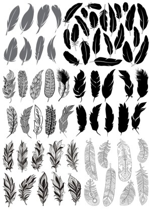 Set of Various Feather Silhouettes and Ornamental Feather Designs Free Vector
