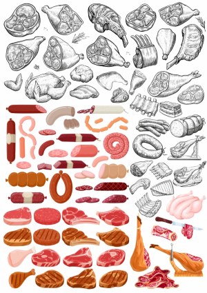 Collection of Detailed Meat Cuts and Sausage Vector Illustrations Free Vector