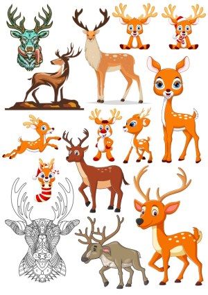 Collection of Cartoon and Realistic Deer and Reindeer Illustrations Free Vector