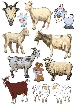 Collection of Various Goat and Sheep Illustrations Free Vector