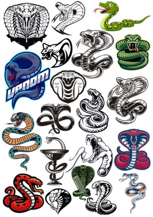 Collection of Diverse Snake and Cobra Vector Illustrations Free Vector