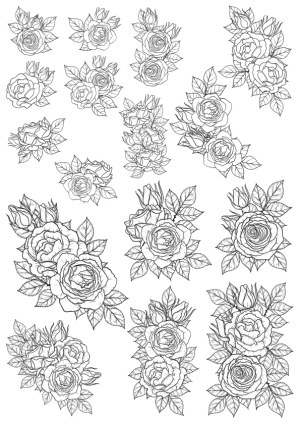 Set of Hand-Drawn Black and White Rose Floral Designs Free Vector