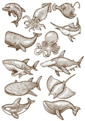 Hand-Drawn Marine Animals Collection Vector Free Vector