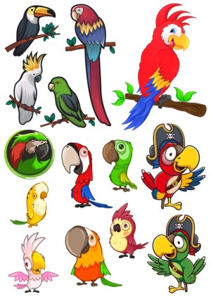 Colorful Cartoon Parrots and Tropical Birds Vector Collection Free Vector
