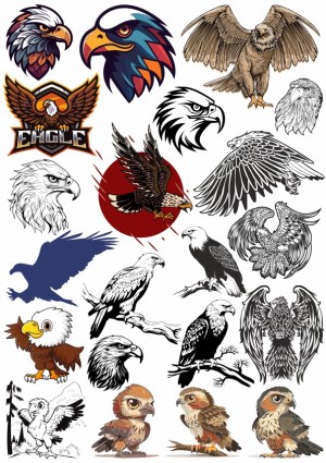 Collection of Eagle Vector Illustrations and Designs Free Vector