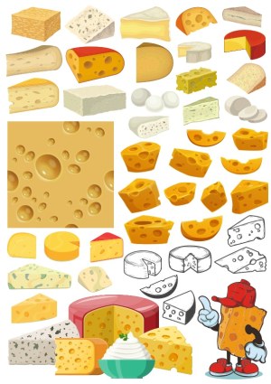 Variety of Cheese Types Vector Collection Free Vector