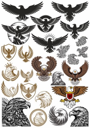 Collection of Eagle and Hawk Vector Emblems and Illustrations Free Vector