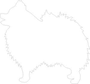 Outline Silhouette of Fluffy Dog Standing Free Vector