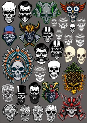 Collection of Skull-Themed Vector Illustrations with Various Styles Free Vector