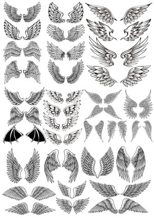 Collection of Detailed Black and White Angel Wings Vector Illustrations Free Vector