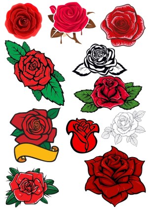 Set of Red Rose Vector Illustrations with Leaves and Banner Free Vector