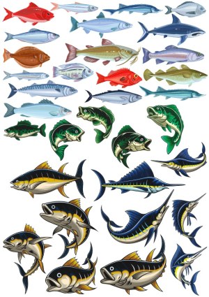Variety of Colorful Freshwater and Saltwater Fish Illustrations Free Vector