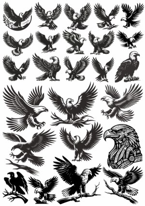 Collection of Black Silhouette Eagle and Hawk Vector Illustrations Free Vector