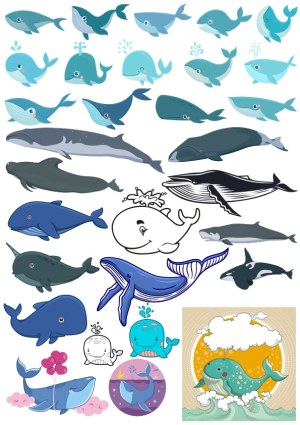 Collection of Diverse Whale Vector Illustrations Free Vector