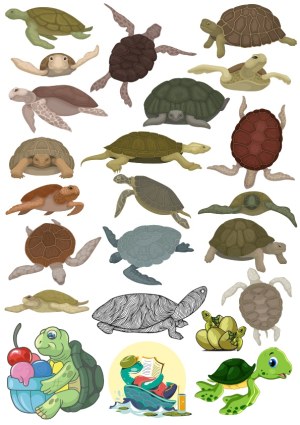 Collection of Various Turtle and Tortoise Vector Illustrations Free Vector