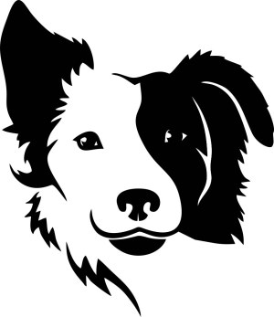 Black and White Border Collie Dog Face Vector Free Vector