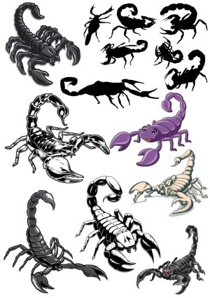 Collection of Scorpion Vector Illustrations and Silhouettes Free Vector