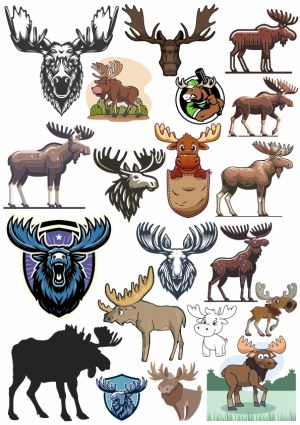 Collection of Moose and Elk Vector Illustrations Free Vector