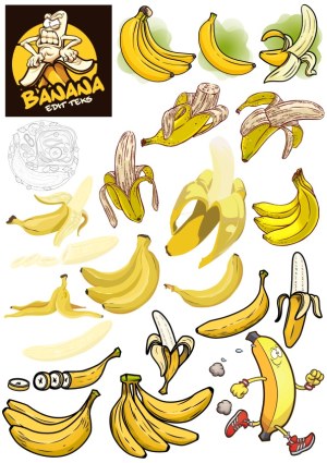 Variety of Cartoon and Realistic Banana Vector Illustrations Free Vector
