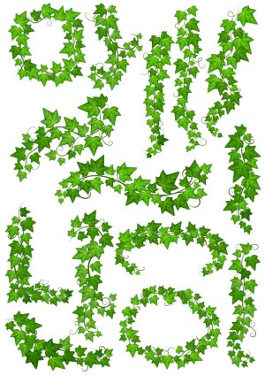 Green Ivy Vine Decorative Borders and Frames Vector Free Vector