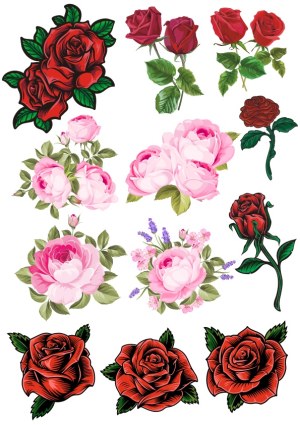 Collection of Red and Pink Rose Vector Illustrations Free Vector