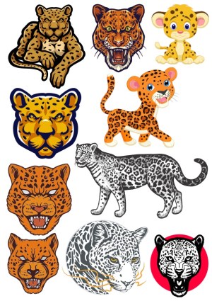 Collection of Jaguar and Leopard Vector Illustrations Free Vector